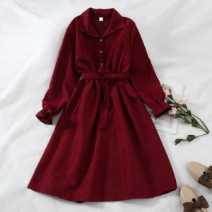 Collar Long Flare Sleeve Dress